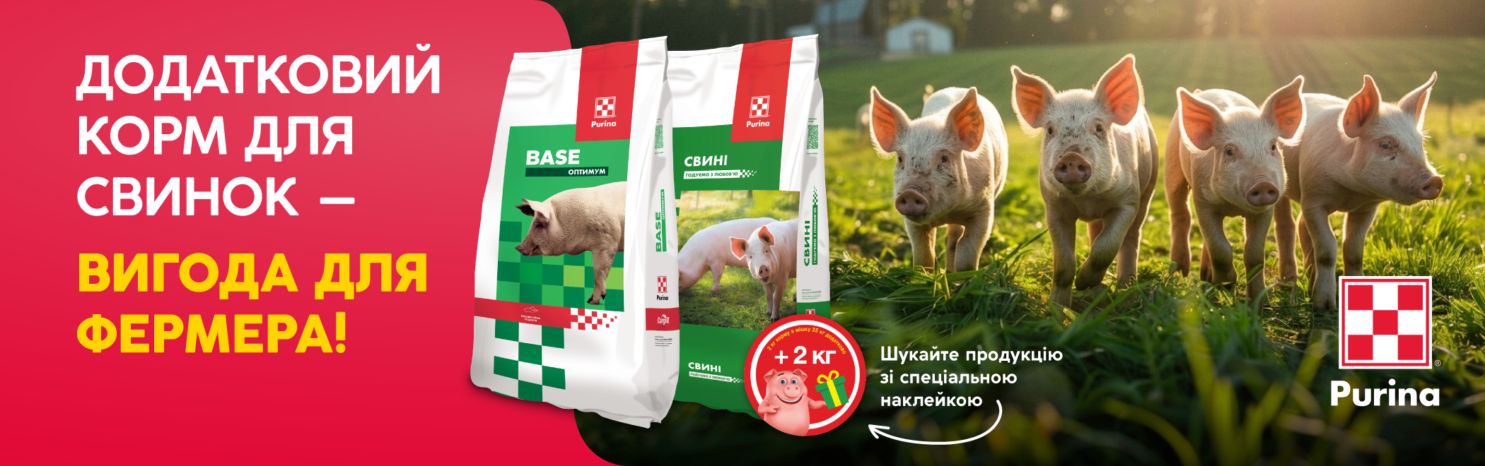 ДОДАТКОВИЙ КОРМ ДЛЯ СВИНОК – ВИГОДА ДЛЯ ФЕРМЕРА!